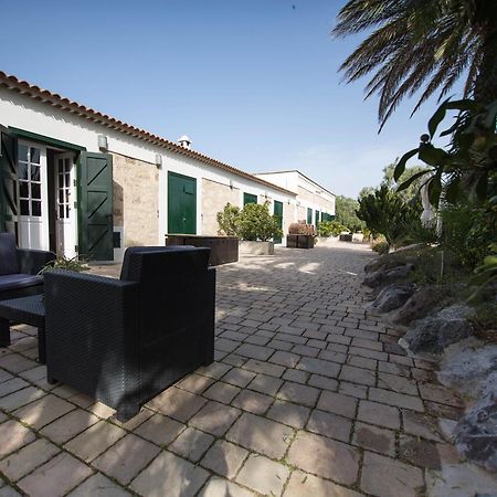 La Malvasia Arico Viejo Exterior foto