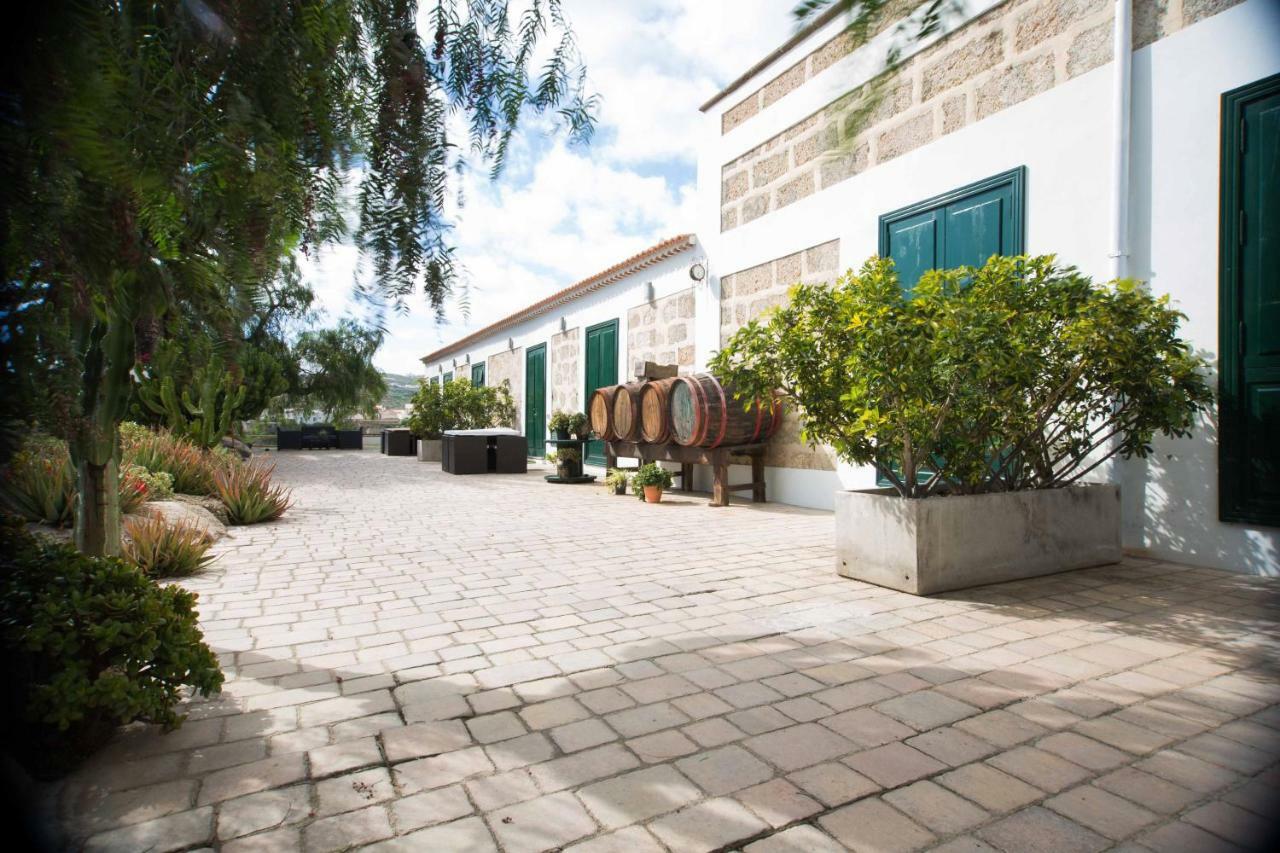 La Malvasia Arico Viejo Exterior foto