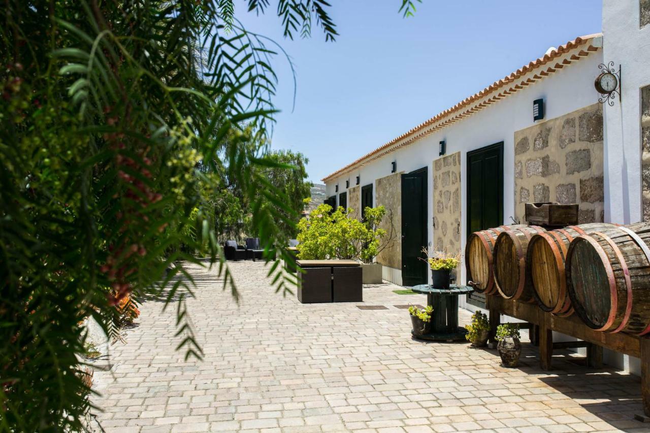 La Malvasia Arico Viejo Exterior foto