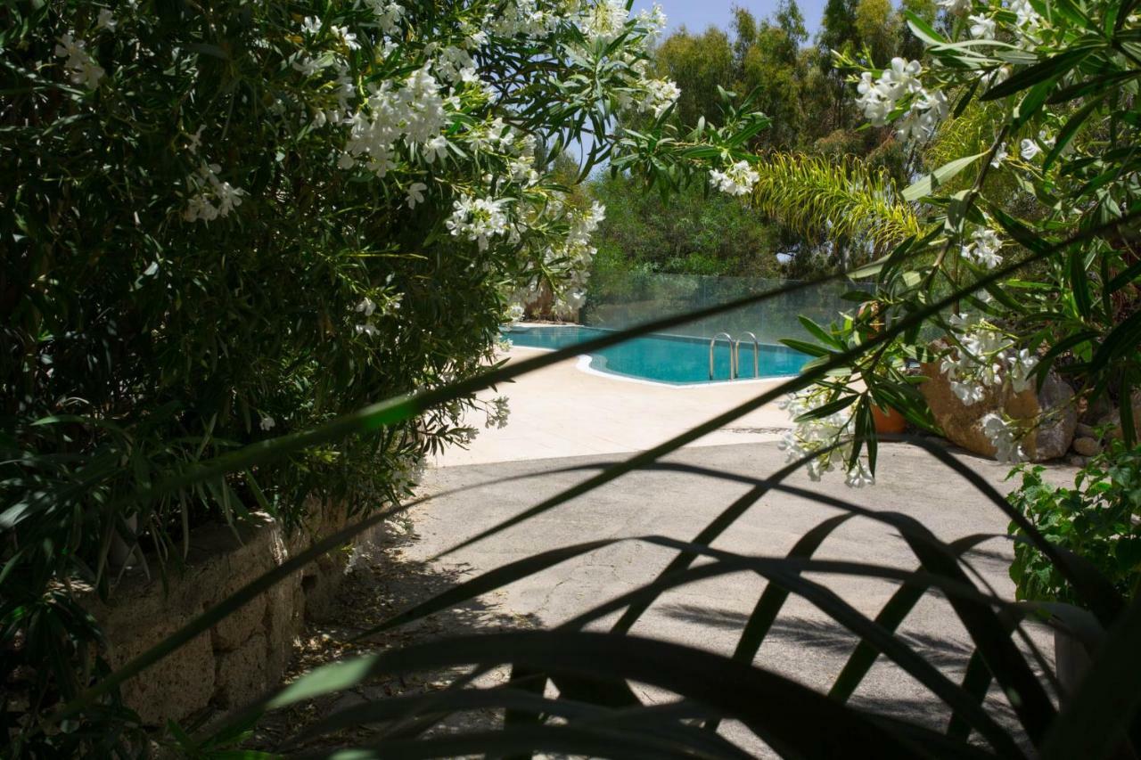 La Malvasia Arico Viejo Exterior foto