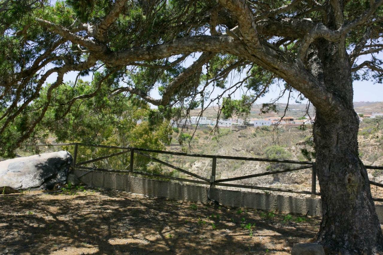 La Malvasia Arico Viejo Exterior foto