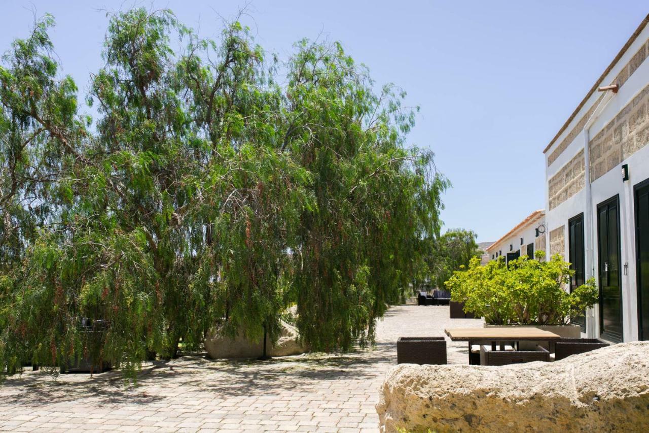 La Malvasia Arico Viejo Exterior foto